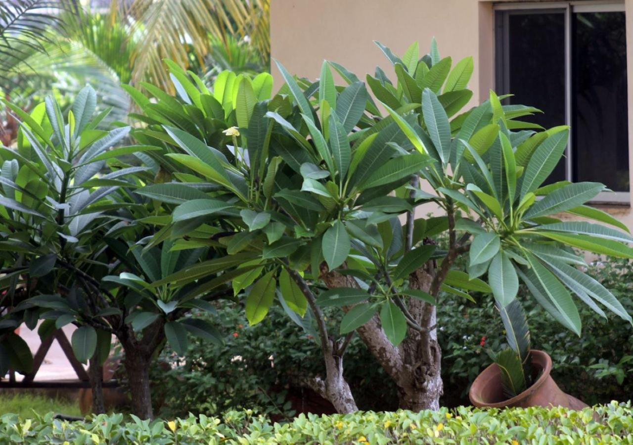 Cocobeach-Hotel Lomé Exterior foto